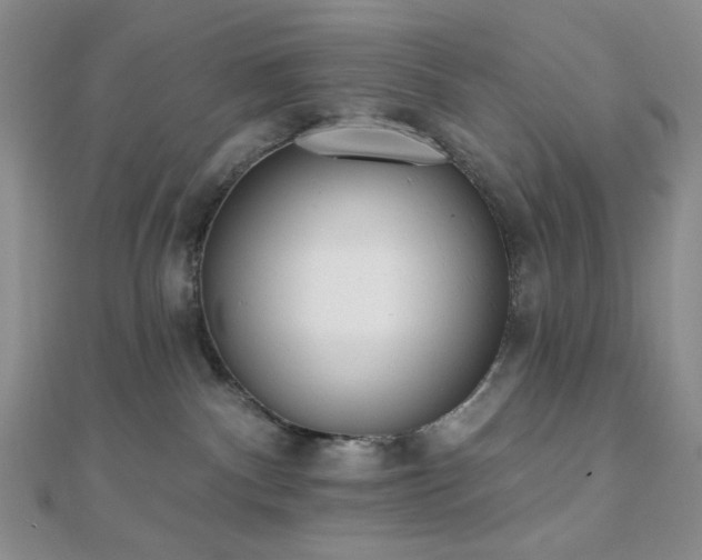 X0000110740140200906151111