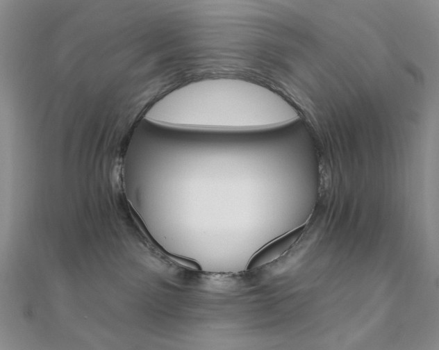 X0000110740141200906151111