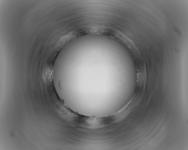 X0000110740142200906151111