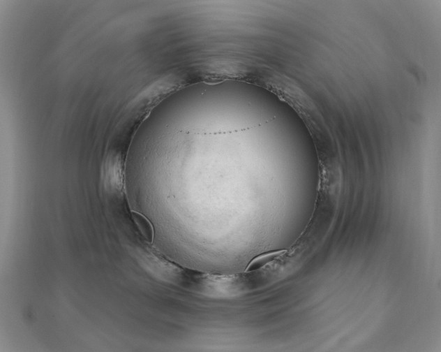 X0000110740143200906151111