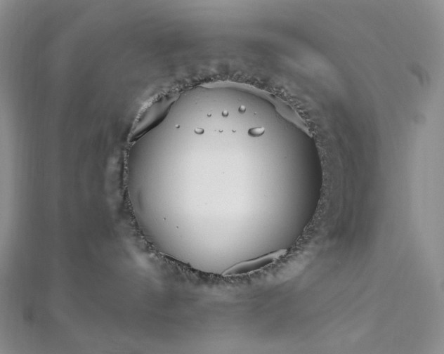 X0000110740144200906151111