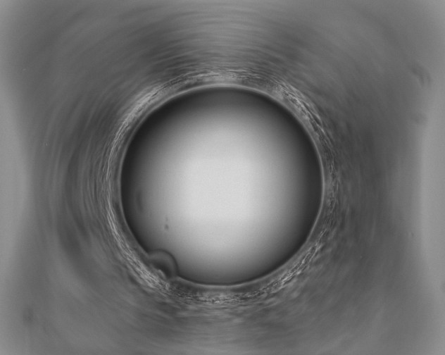X0000110740145200906151110