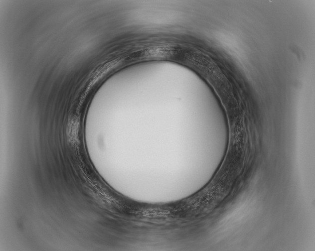 X0000110740146200906151110