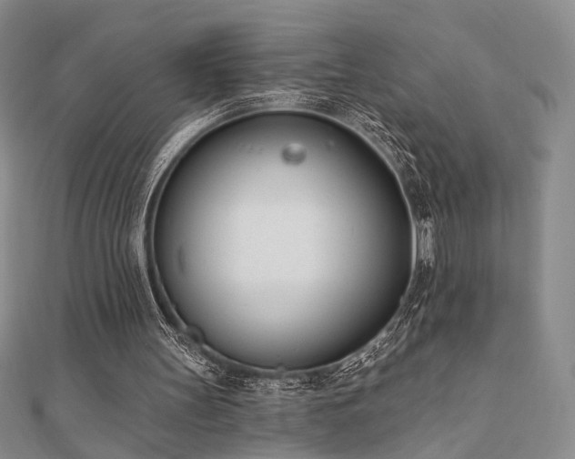 X0000110740147200906151110