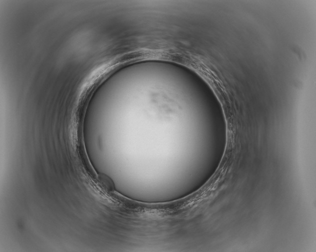 X0000110740149200906151110