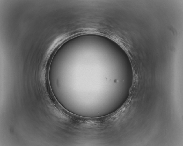 X0000110740151200906151110
