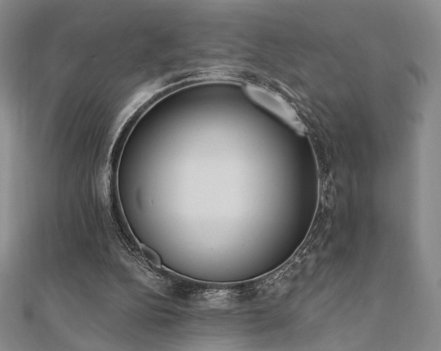 X0000110740152200906151110