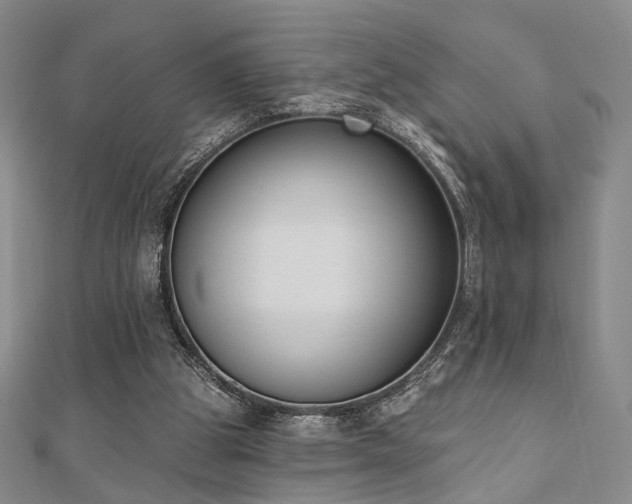 X0000110740153200906151110