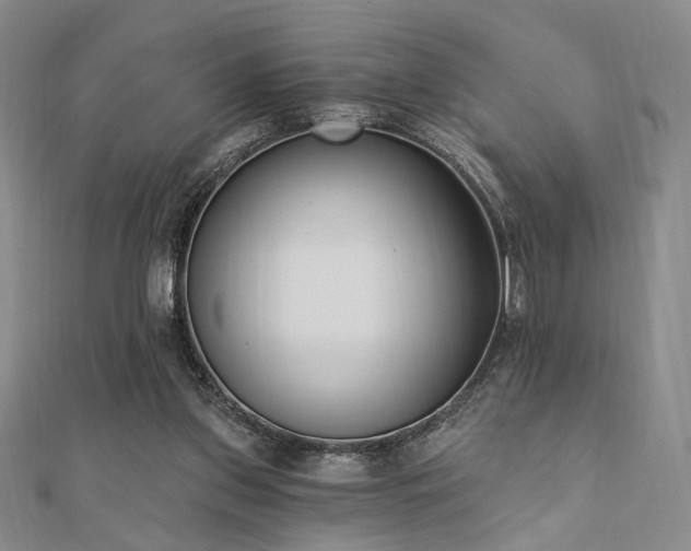 X0000110740157200906151111