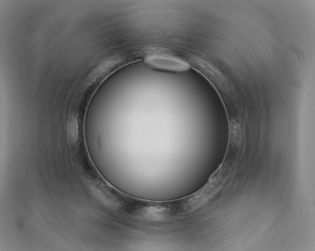 X0000110740158200906151111