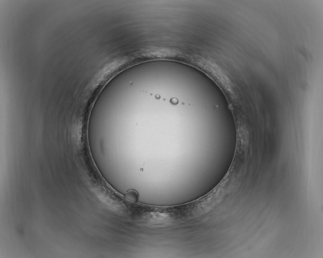 X0000110740159200906151111