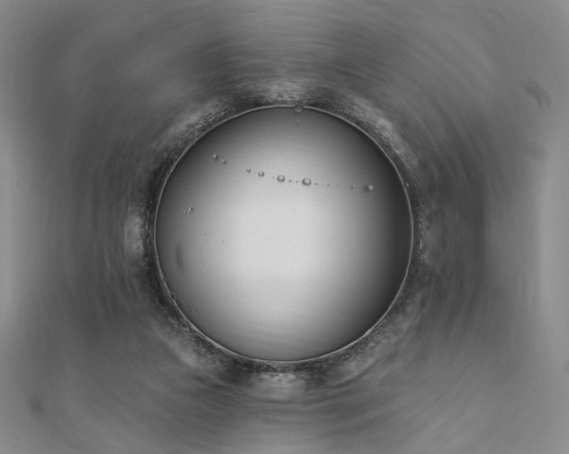 X0000110740161200906151111