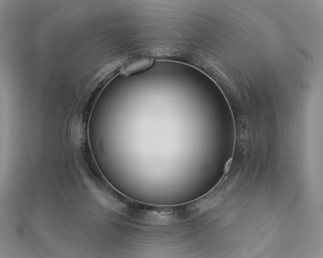 X0000110740164200906151111