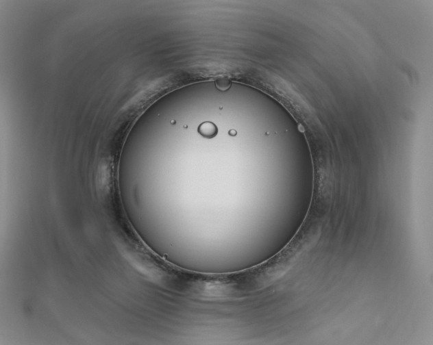 X0000110740165200906151111