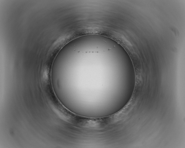 X0000110740166200906151111