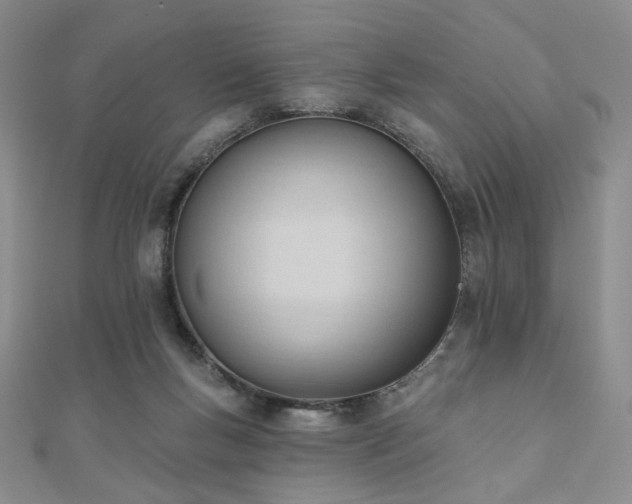 X0000110740167200906151111