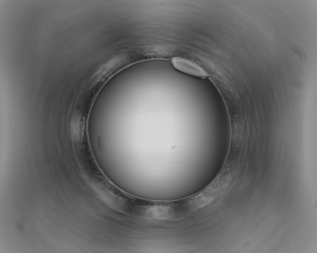 X0000110740168200906151111