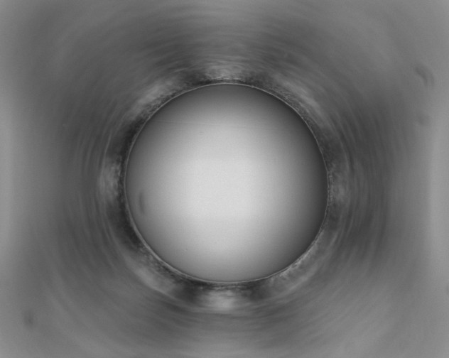 X0000110740171200906151111