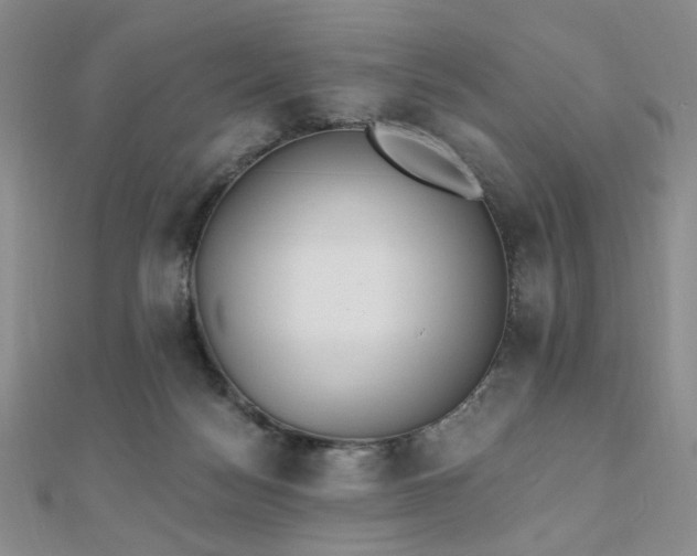X0000110740172200906151111