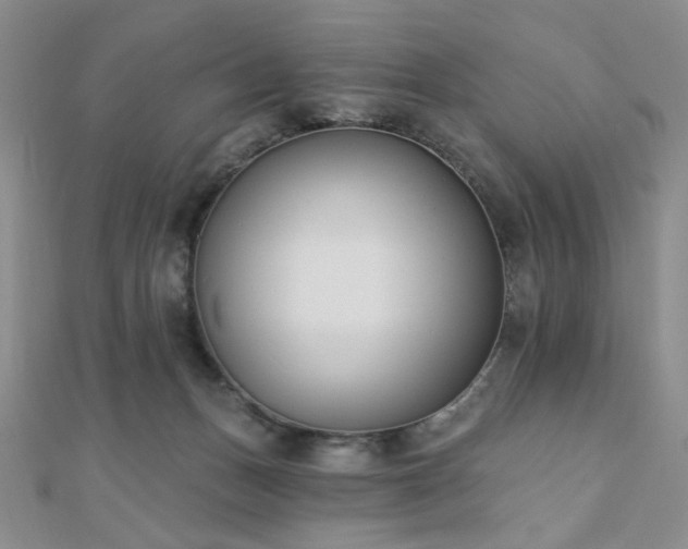X0000110740175200906151111