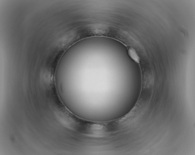 X0000110740176200906151111
