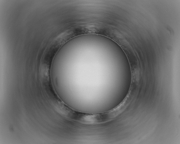 X0000110740178200906151111