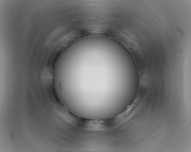 X0000110740179200906151111