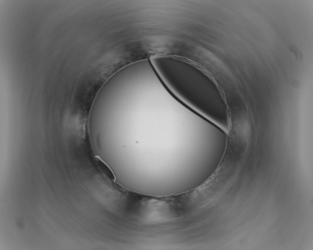 X0000110740180200906151111