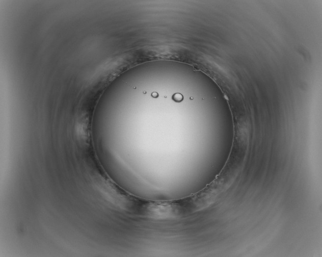 X0000110740181200906151111