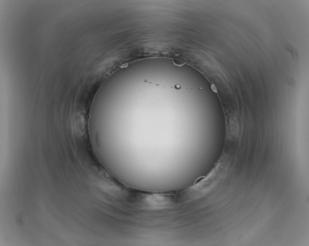 X0000110740183200906151111