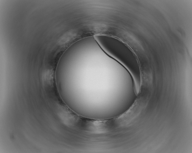 X0000110740184200906151111