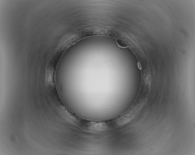 X0000110740185200906151111