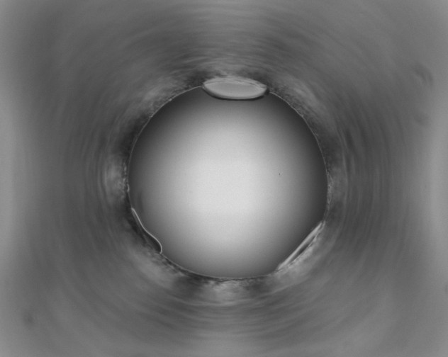 X0000110740186200906151111
