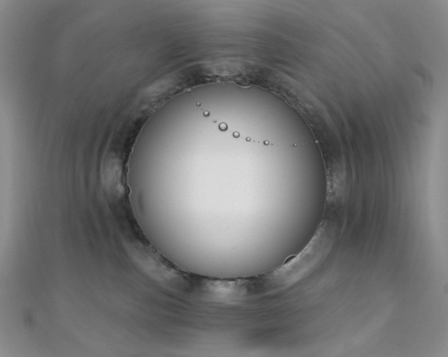 X0000110740187200906151111