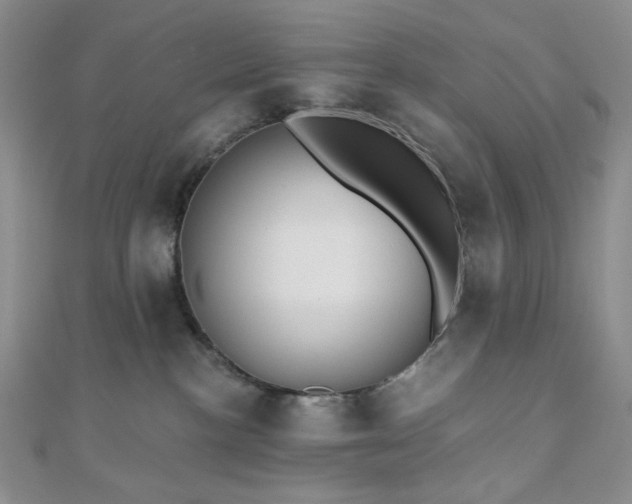 X0000110740188200906151111