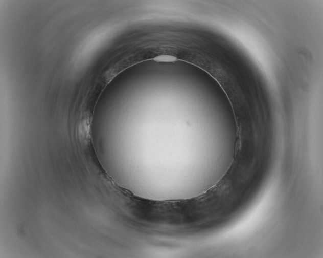 X0000110740190200906151111