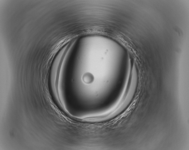X0000110740193200906151110