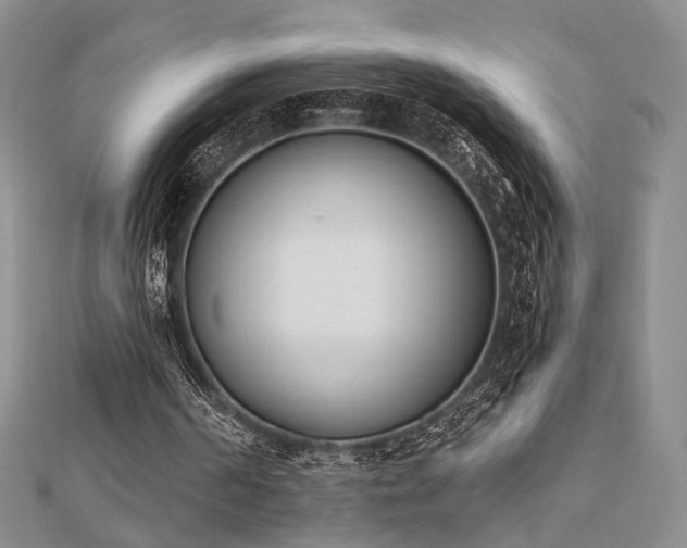 X0000110740194200906151110