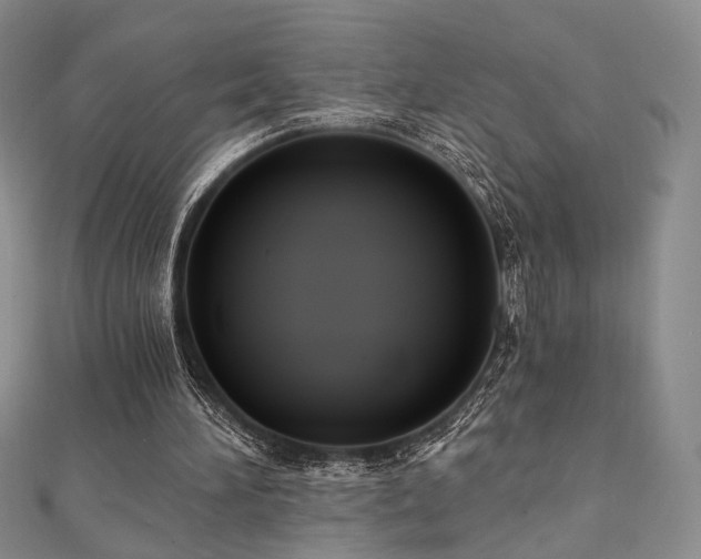 X0000110740196200906151110