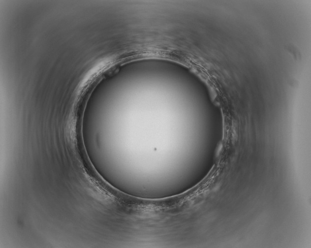 X0000110740197200906151110