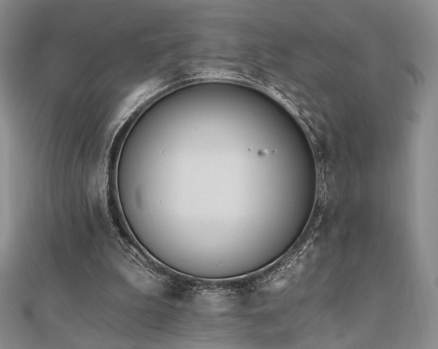 X0000110740199200906151110