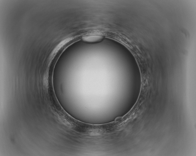 X0000110740200200906151110
