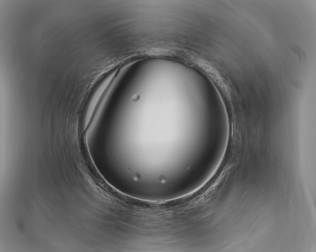 X0000110740201200906151110