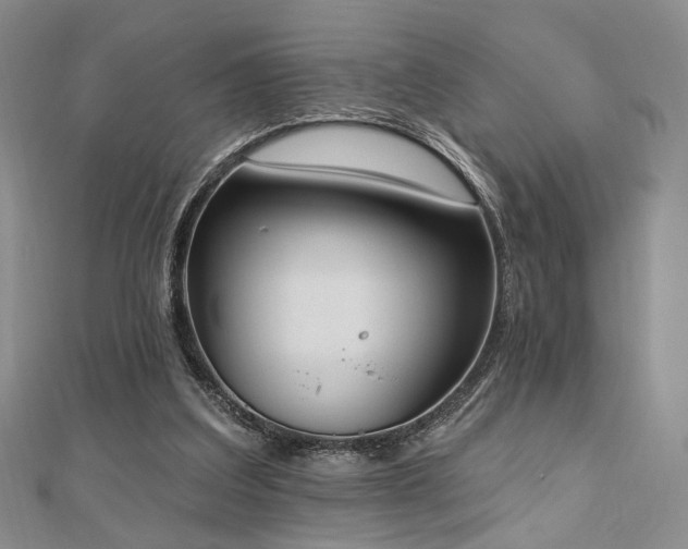 X0000110740203200906151110