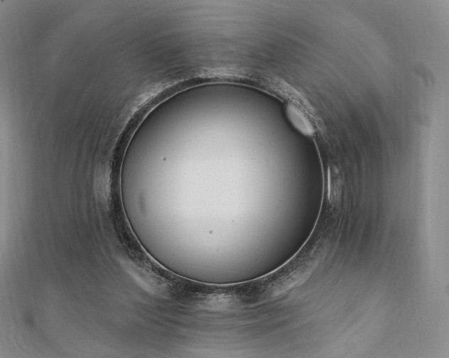 X0000110740204200906151110