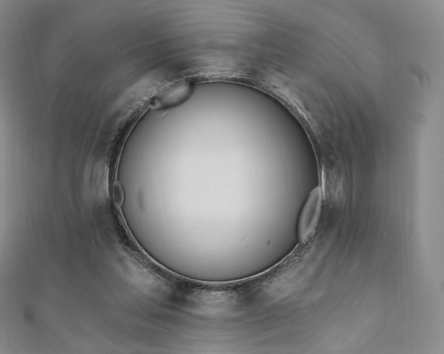 X0000110740205200906151110