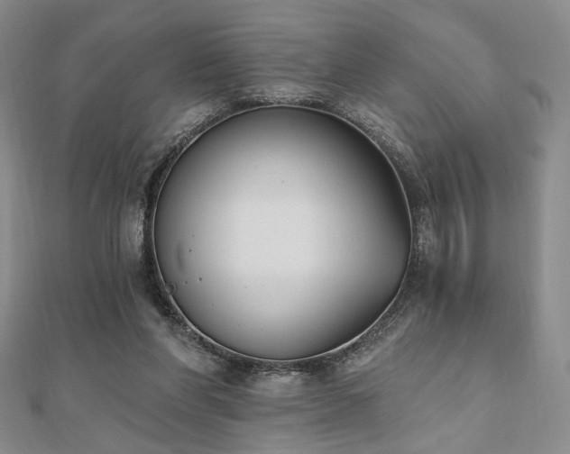 X0000110740206200906151110