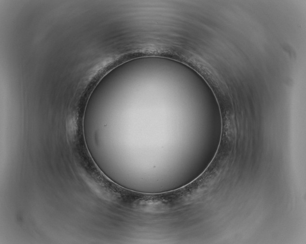 X0000110740208200906151110