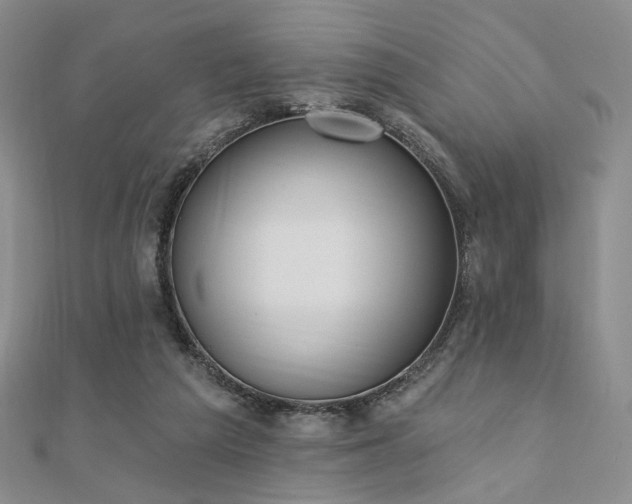 X0000110740209200906151110