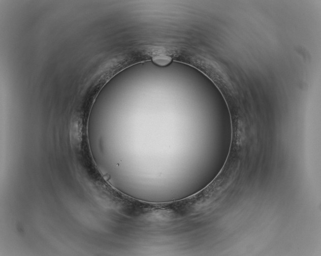 X0000110740210200906151110